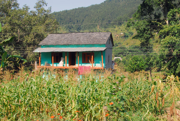 Corn field and a small house