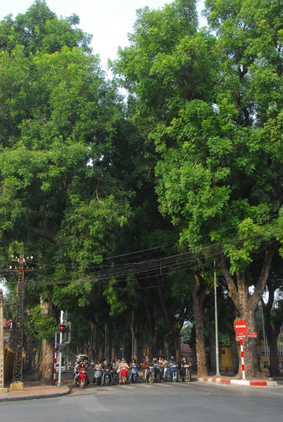 Tree lined street in the posh embassy district, Hanoi