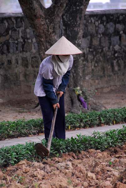 Woman working to break up clumps of dirt, Hoa Lu