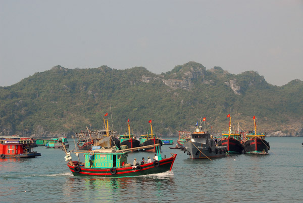 Fishing fleet, Cat Ba Harbor, Cat Ba Island
