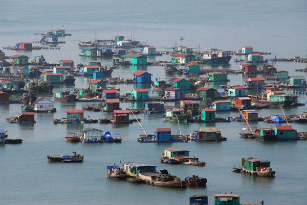 The Floating Village in Cat Ba Harbor from the Holiday View Hotel