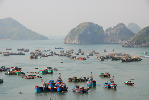 Cat Ba Harbor with the fishing fleet and floating village