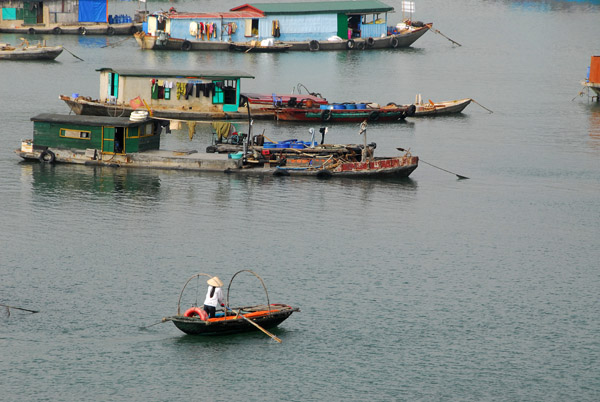 Floating village, Cat Ba Harbor