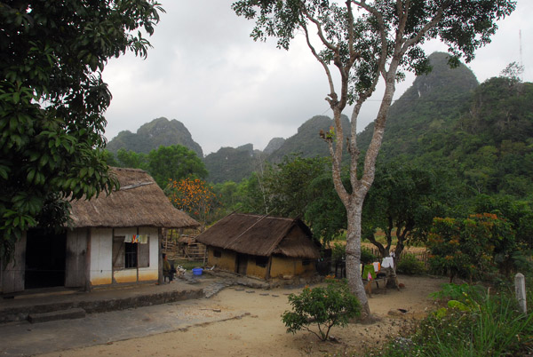 Traditional rural Vietnamese thatched huts, near the entrance to Cat Ba National Park