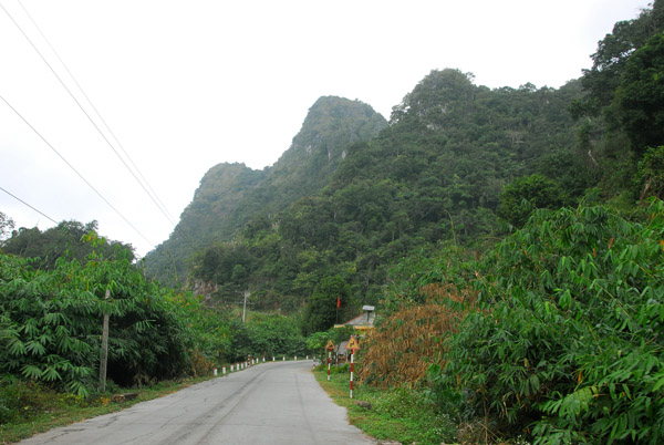 Road through the interior of Cat Ba Island to Cang Gia Luan in the north
