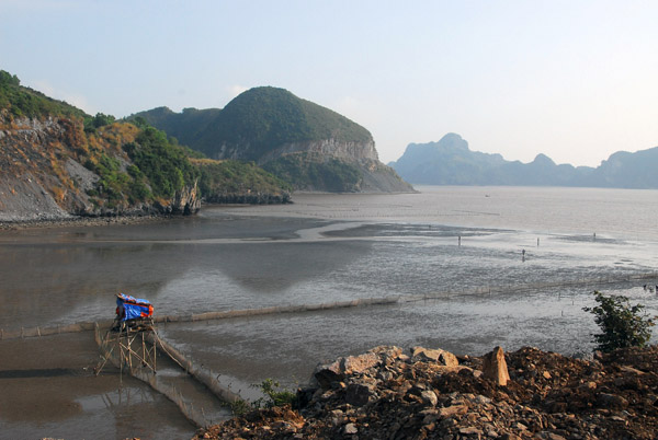 Mudflat at low tide, SW Cat Ba, near Hien Hao