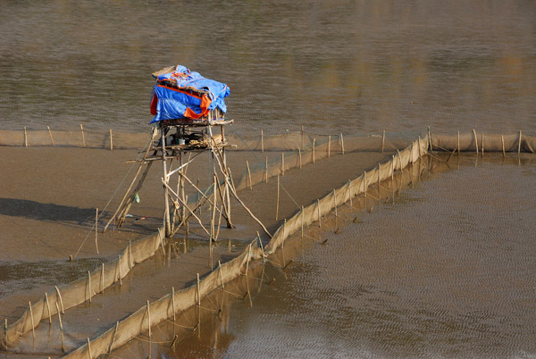 Platform on stilts at one of the mudflat clam farms, Cat Ba