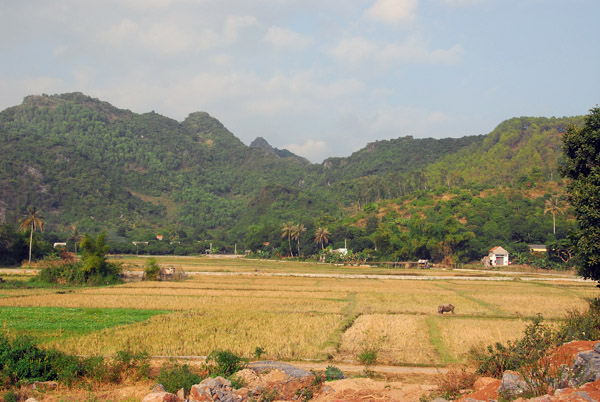 One of the few areas on Cat Ba suitable for crops