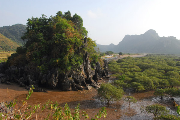 Mangrove swamp with a rocky outcropping SW Cat Ba Island