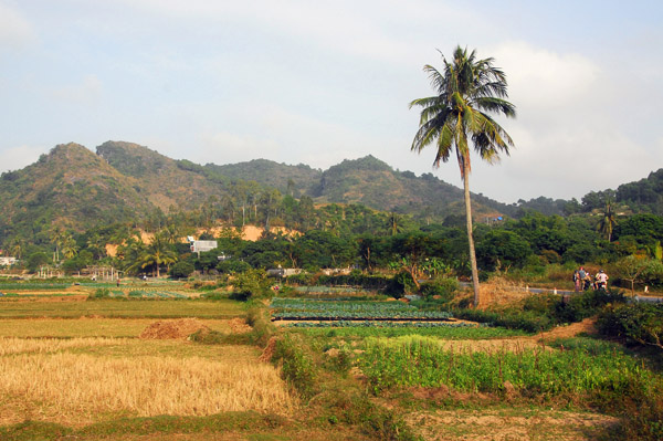 The largest of Cat Ba Island's agricultural areas (N20 45 28/E106 58 37)