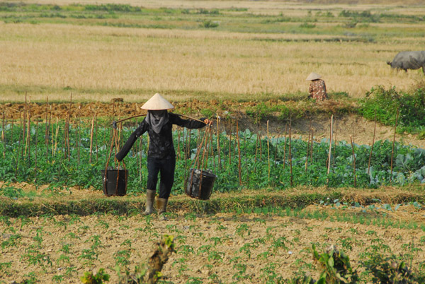 Vietnamese farm carrying two buckets on a pole