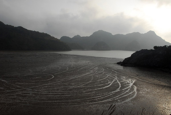 Tracks across the mud flat, a short distance outside Cat Ba Town