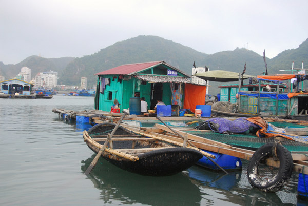 Most of the floating village is for fish farming or storage, Ca Ba Harbor