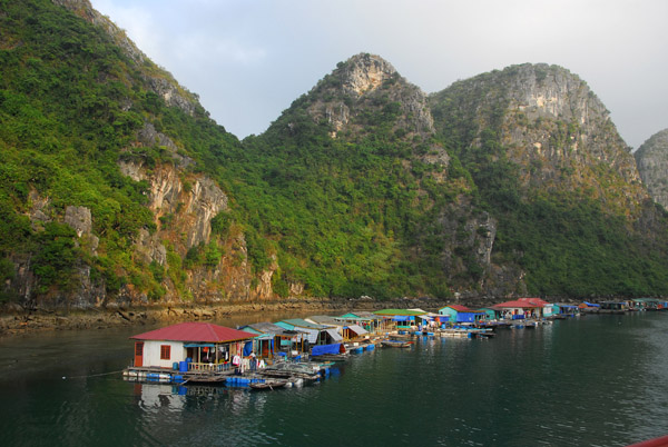 Main Street of a floating village, Halong Bay