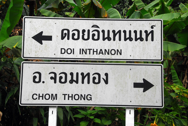 Road to the summit of Doi Inthanon, 2590m
