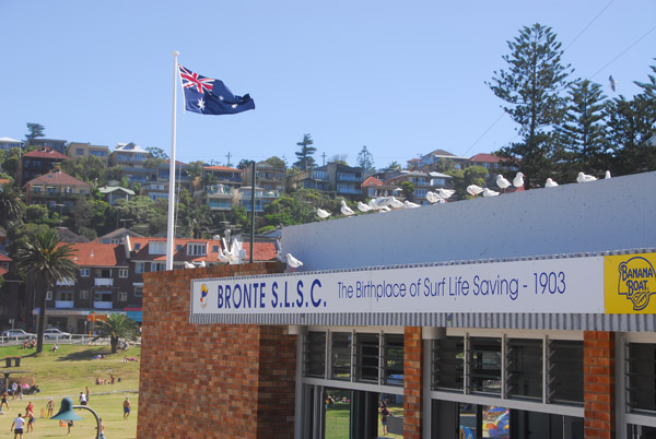 Bronte SLSC, The Birthplace of Surf Life Saving 1903