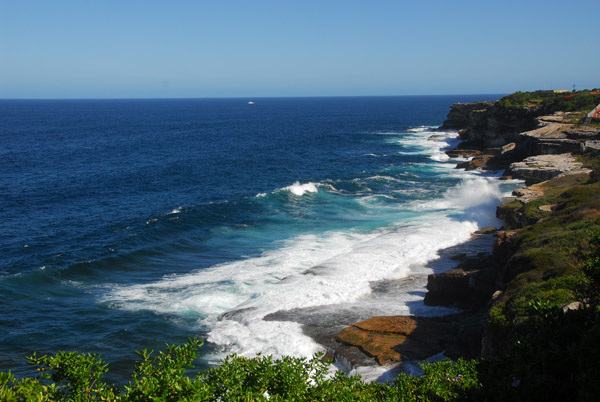 Cliffs between Bronte and Clovelly, Sydney