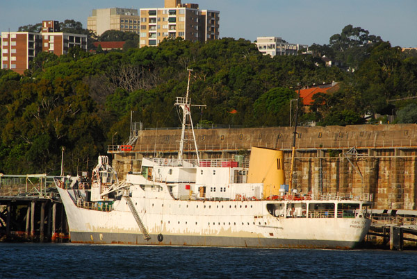MV Cape Don, Sydney Harbour