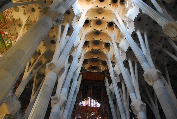 High ceiling, Sagrada Famlia