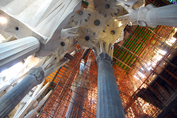 Columns and ceiling of the nave,Sagrada Famlia