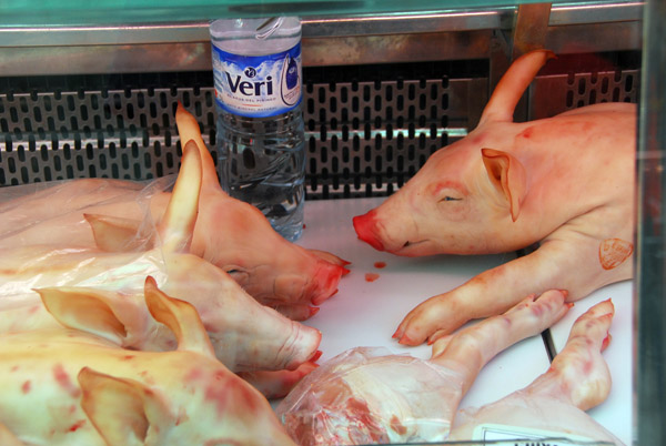 Baby pigs, Mercat de la Boqueria (Las Ramblas Market)
