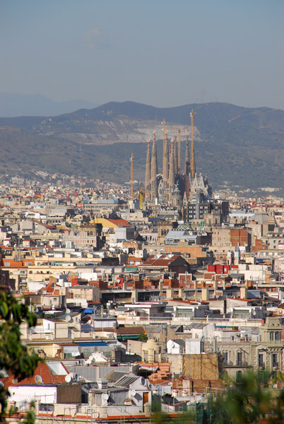 Sagrada Familia from Montjuc, Barcelona