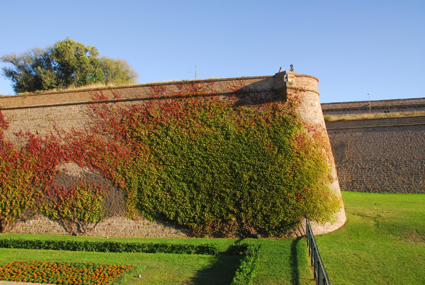 Vine covered walls of Montjuc Castle, Barcelona