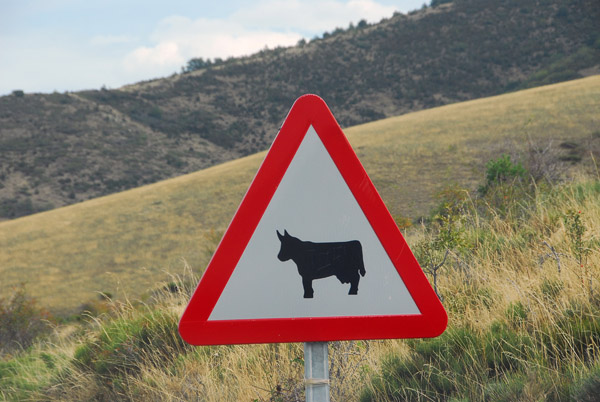 Spanish cattle sign
