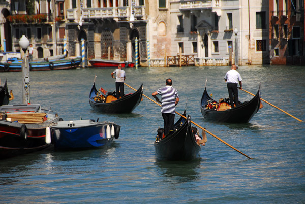 A flotilla of gondalas on the Grand Canal seen from the Rialto Bridge