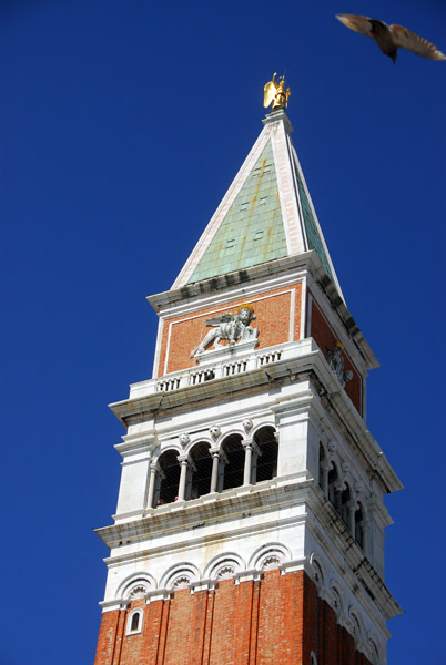 The Campanile is 99m tall