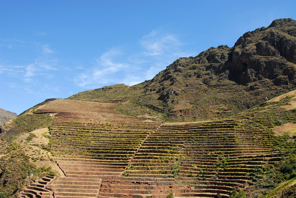 It's interesting that the Peruvians seem to have lost terrace farming after the Inca