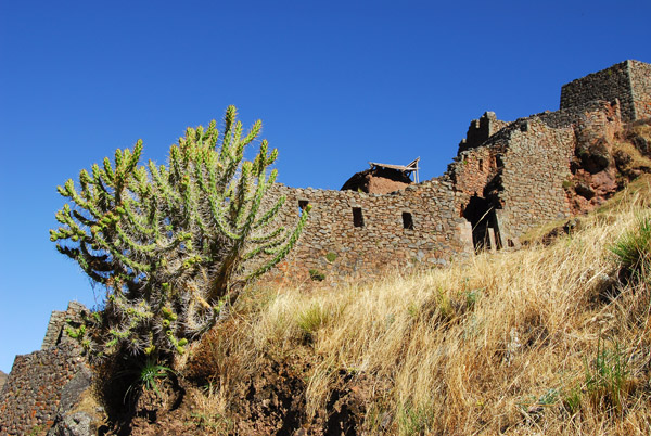Q'allaqasa - the Citadel of Pisaq