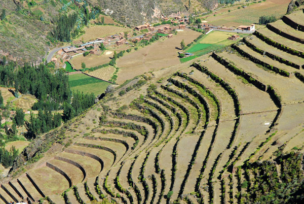 Agricultural terraces, Pisaq