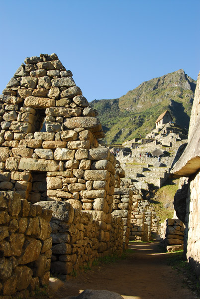 Among the ruins, Machu Picchu