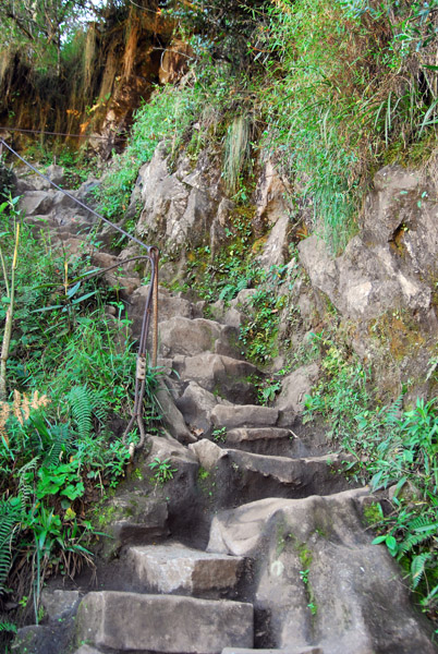 Rough stairs leading up Wayna Picchu