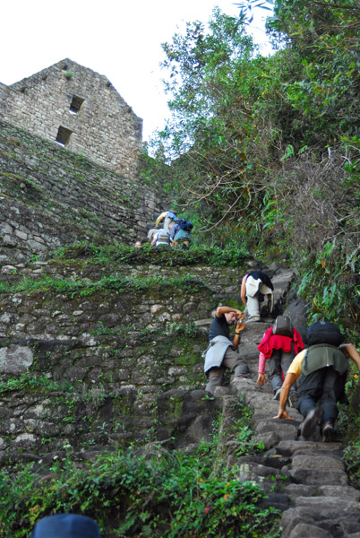 Terraces as the top of Wayna Picchu