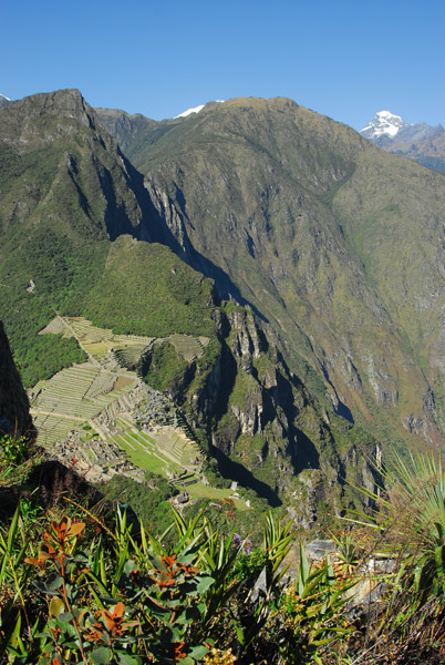 Wayna Picchu