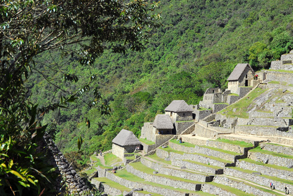 Agricultural terraces with restored huts near the entrance to Machu Picchu