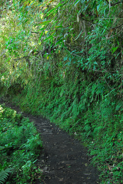 Inca Bridge trail