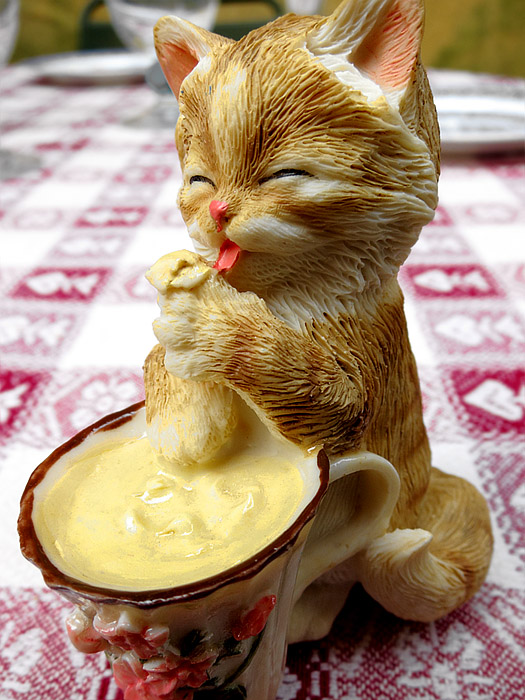 il gatto ghiottone / gourmand cat