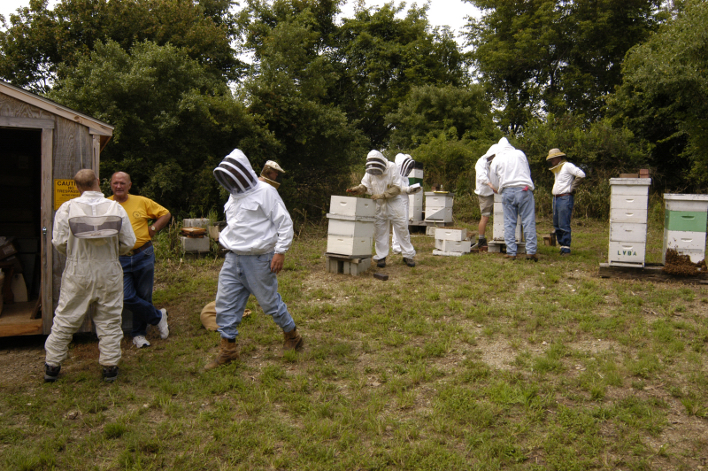 An afternoon of Bee Talk