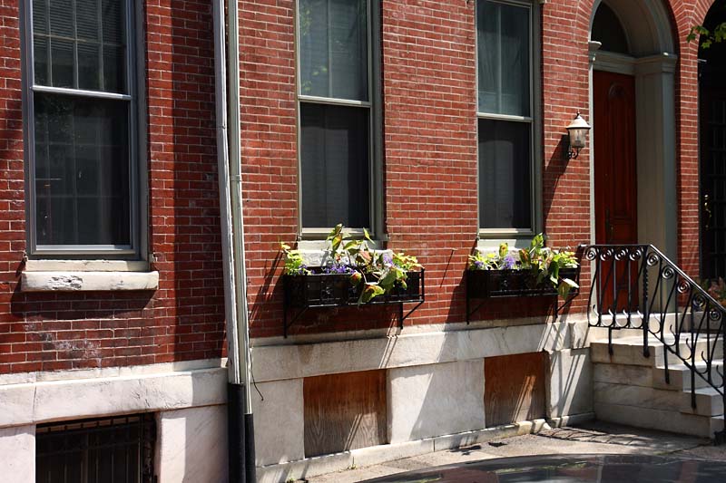 Pine Street Window Boxes