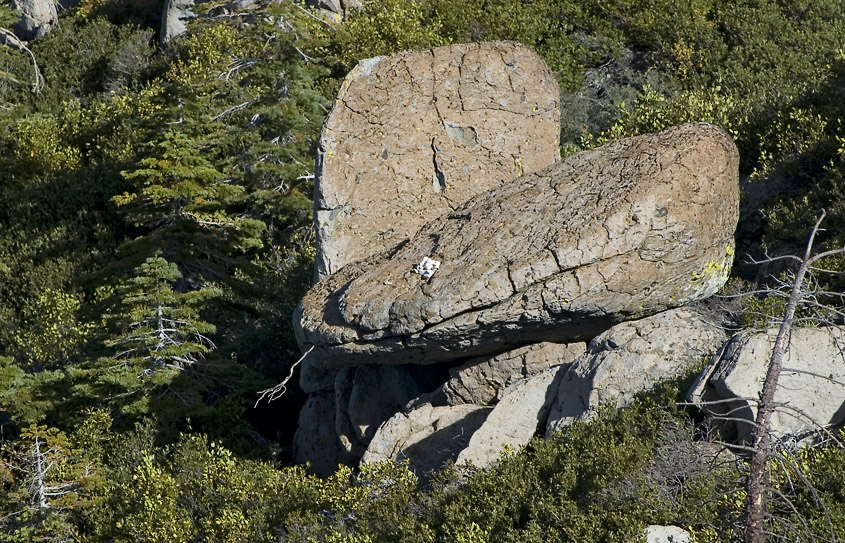 Snake Rock