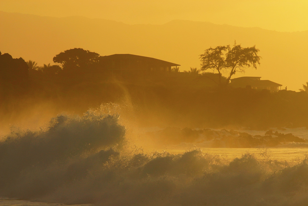 Winter Waves