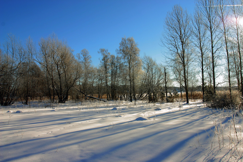 Long Shadows