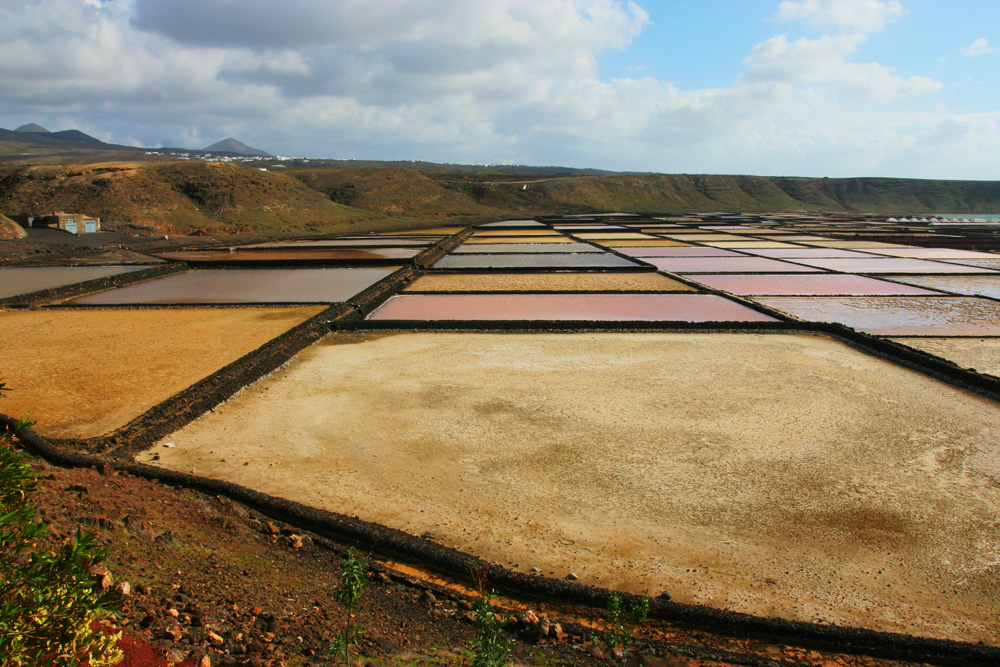 Salt Pans
