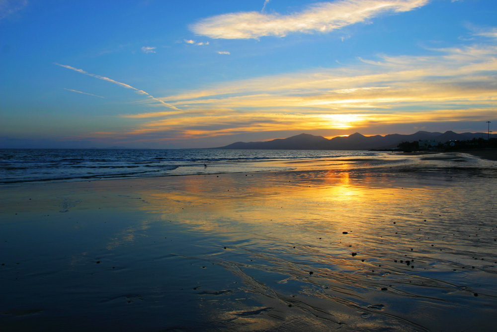 Golden Colors