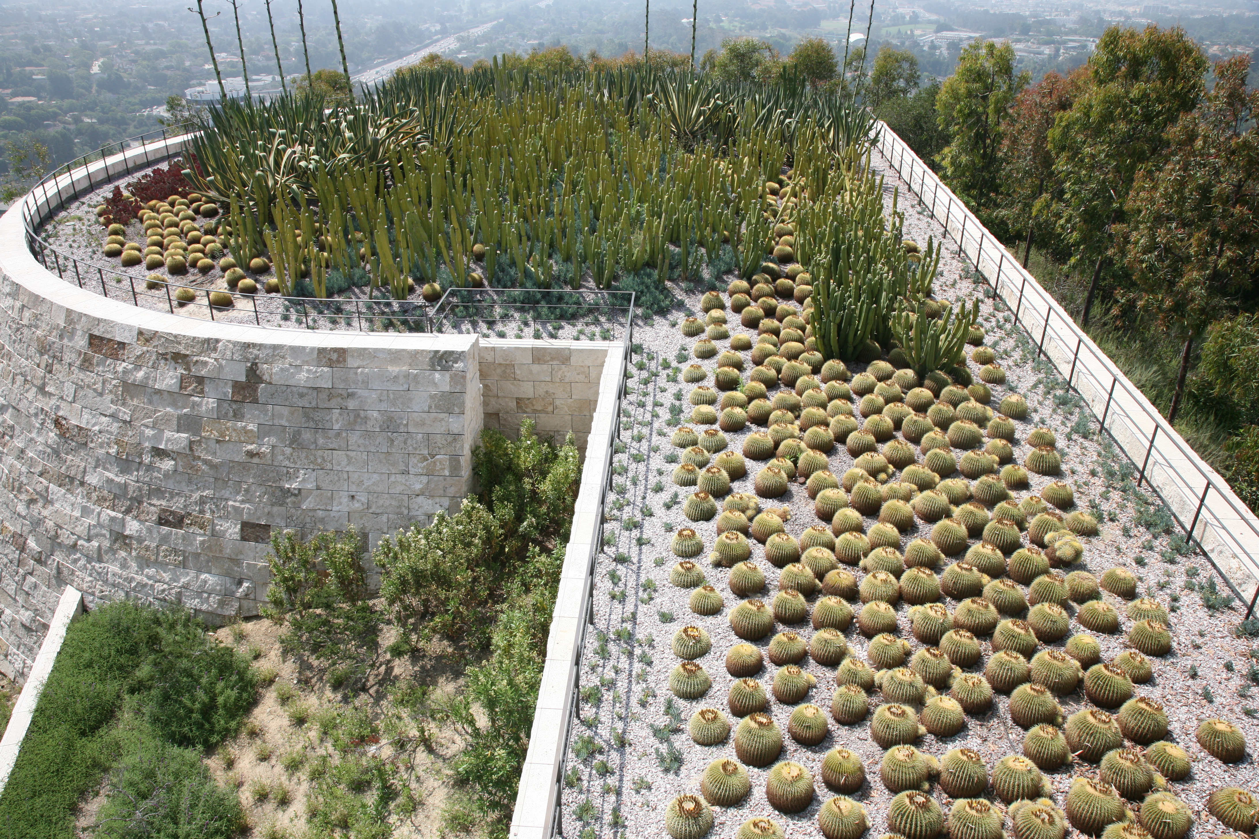getty cactus