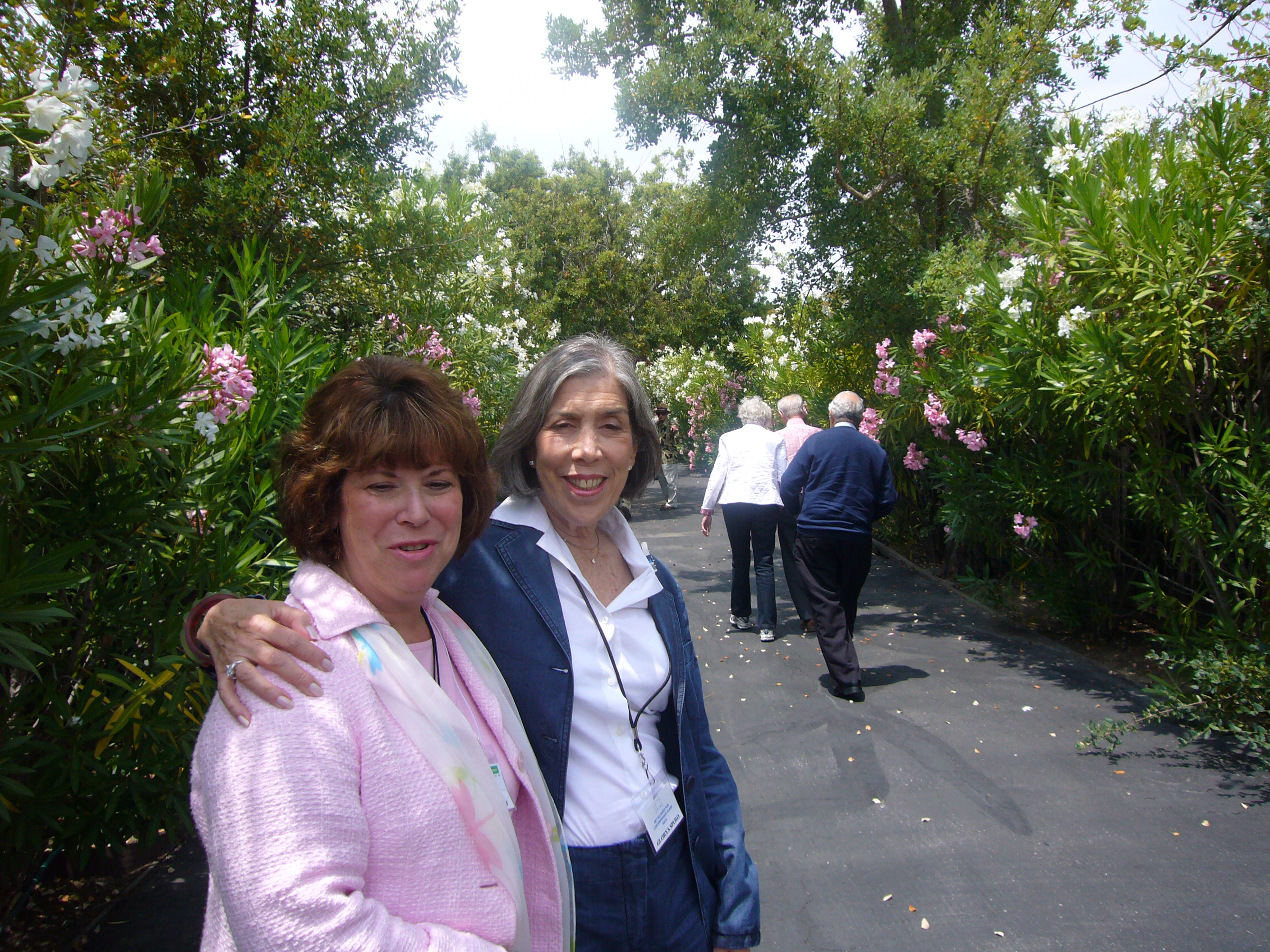 garden walk