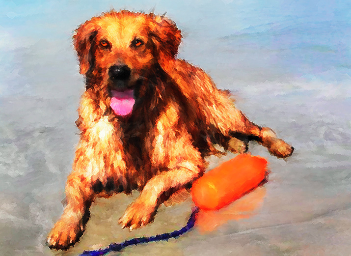 Beach ret.jpg